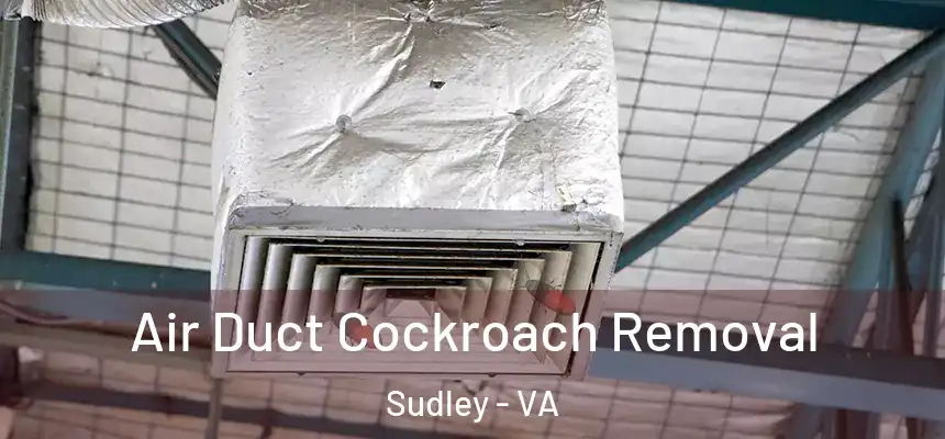  Air Duct Cockroach Removal Sudley - VA