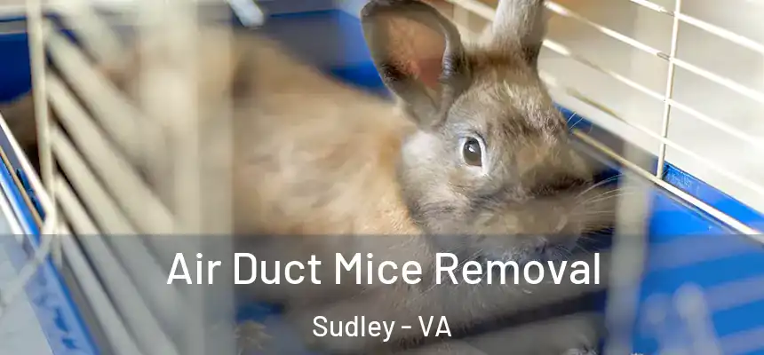 Air Duct Mice Removal Sudley - VA