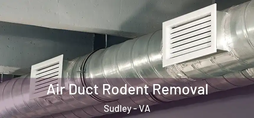 Air Duct Rodent Removal Sudley - VA