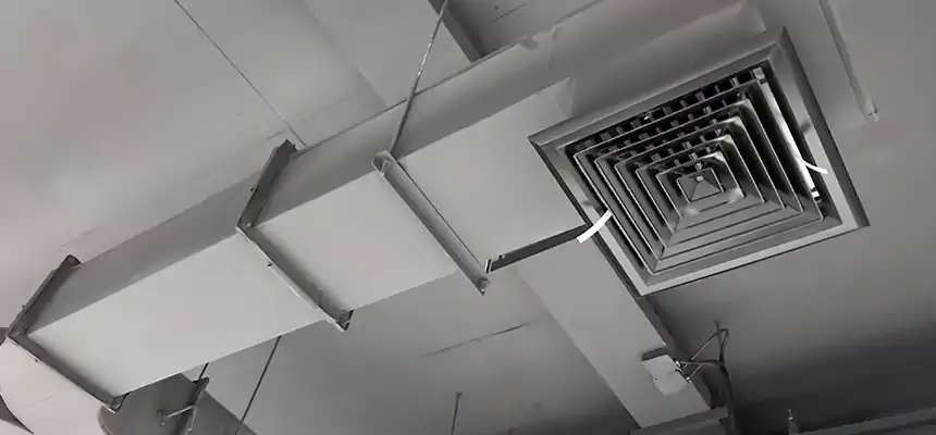 Restorative Allergy Relief Vent Cleaning – Coil, Blower & Housing Detail in Sudley