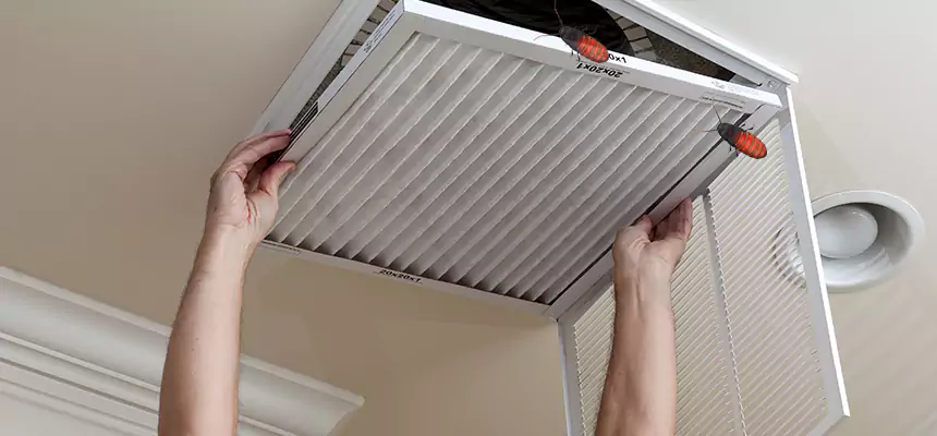 Our Insect Removal from Air Ducts Services in Sudley, VA
