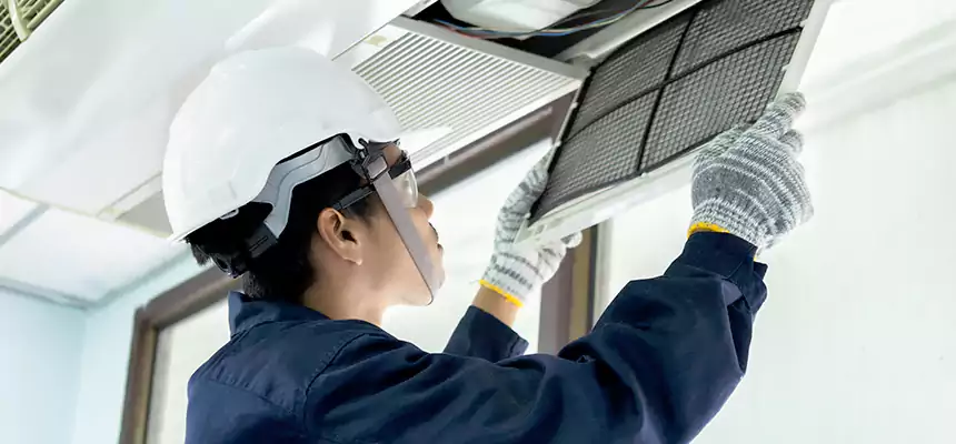 Our Mold & Mildew Removal from Air Ducts Services in Sudley, VA