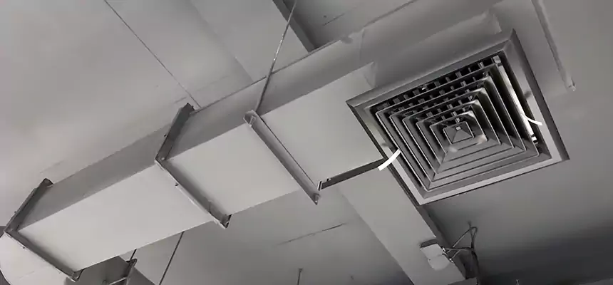 Our Pest Removal From Ducts Services in Sudley, VA