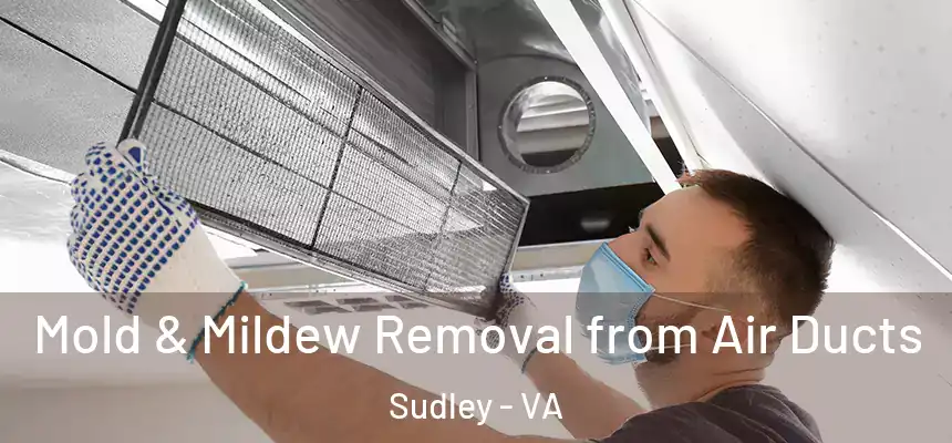 Mold & Mildew Removal from Air Ducts Sudley - VA