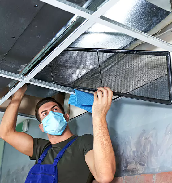 Professional Air Duct Pollen Cleaning in Sudley, VA