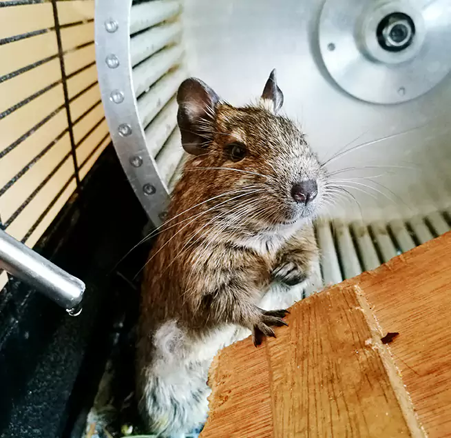 Why Homeowners & Businesses Trust Us Sudley, VA?